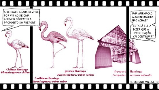 film strip - freeport